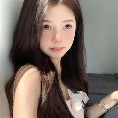 来自法国的玫瑰